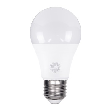 GloboStar® 60027 Λάμπα LED E27 A60 Γλόμπος 10W 1160lm 260° AC 220-240V IP20 Φ6 x Υ11cm Ψυχρό Λευκό 6000K - 3 Years Warranty