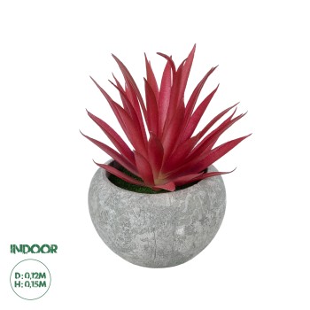 GloboStar® Artificial Garden AIR PLANT TILLANDSIA POTTED PLANT 21035 Διακοσμητικό Φυτό Τιλάντσια Φ12 x Υ15cm