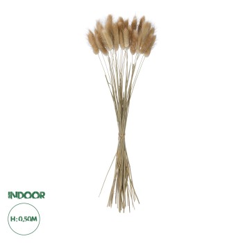 GloboStar® Artificial Garden REAL DRIED BEIGE WHEAT BUNCH  21219 Αποξηραμένο Διακοσμητικό Μπουκέτο Σιταριού Y50cm