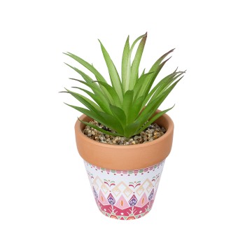 GloboStar® Artificial Garden AIR PLANT NEOPHYTUM POTTED PLANT 21043 Διακοσμητικό Φυτό Νεόφυτο Φ12 x Υ15cm