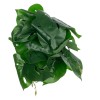 GloboStar® Artificial Garden  MONSTERA PLANT 20945 - Διακοσμητικό Φυτό Μονστέρα Φ40 x Υ33cm