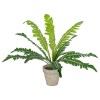 GloboStar® Artificial Garden  ASPLENIUM POTTED PLANT 20904 Διακοσμητικό Φυτό Aslenium Φ40 x Υ33cm