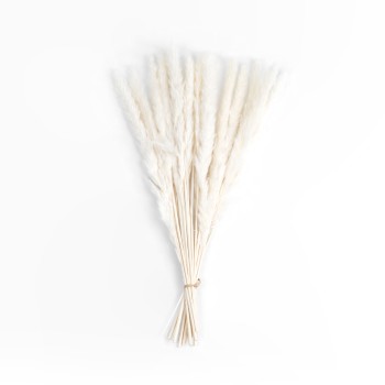 GloboStar® Artificial Garden REAL DRIED BEIGE PAMPAS GRASS BUNCH 21216 Αποξηραμένο Διακοσμητικό Μπουκέτο Pampas Μπέζ Y50cm