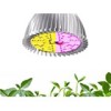 LED Grow Light Spot E27